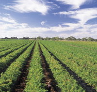 Diplomat Motel amp Restaurant - eAccommodation