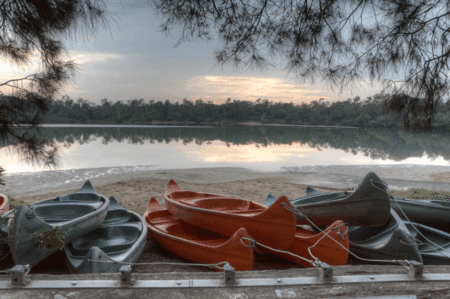 Boambee Bay Resort - eAccommodation 5