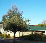 Riverland Motor Inn - eAccommodation