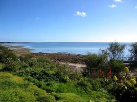 Istana - eAccommodation 0