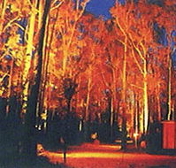 Dwellingup Chalet amp Caravan Park - eAccommodation