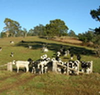 St Columba Cottage - eAccommodation