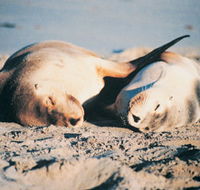 Highgate Farmhouse - eAccommodation