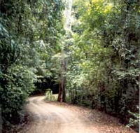 Mt Glorious Getaway Cottages And Conference Centre - eAccommodation