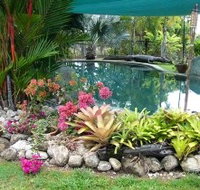 Daintree Wild Bed And Breakfast - eAccommodation