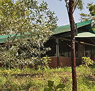 Arnhemland Barramundi Nature Lodge - eAccommodation