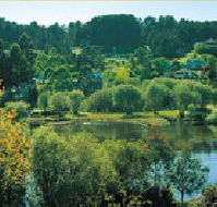 Possum Cottage On The Lake - eAccommodation