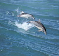 Seachange - eAccommodation