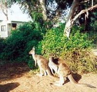 Avoca Dell Caravan Park - eAccommodation