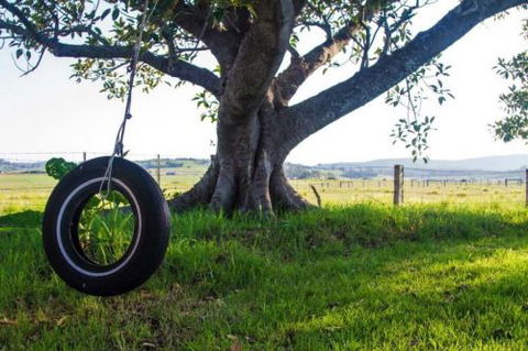 Old Schoolhouse Milton - eAccommodation 3