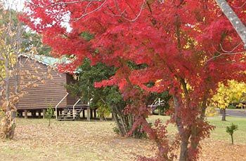 Madison's Mountain Retreat - eAccommodation 1