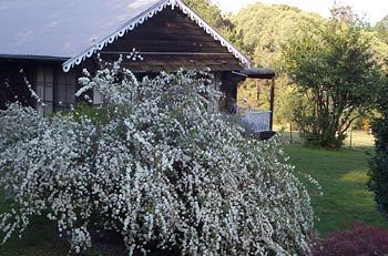 Madison's Mountain Retreat - eAccommodation 3