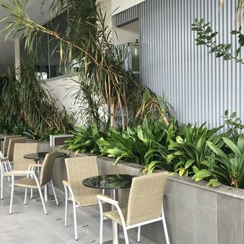 Best Western Premier Hotel 115 Kew - eAccommodation 22