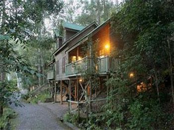 Barrington Wilderness Cedar Lodge Accommodation - eAccommodation 3