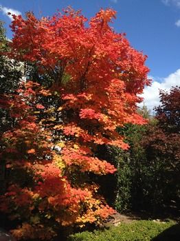 Valley Of The Waters B&B - eAccommodation 5