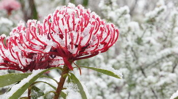 Valley Of The Waters B&B - eAccommodation 12