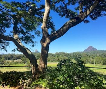 Blackwattle Farm B&B And Farm Stay - eAccommodation 9