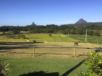 Blackwattle Farm B&B And Farm Stay - eAccommodation 29