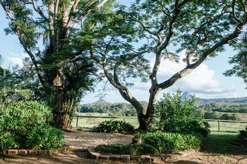 Blackwattle Farm B&B And Farm Stay - eAccommodation 45