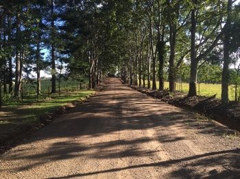 Blackwattle Farm B&B And Farm Stay - eAccommodation 46