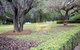 Casuarina Estate - thumb 48