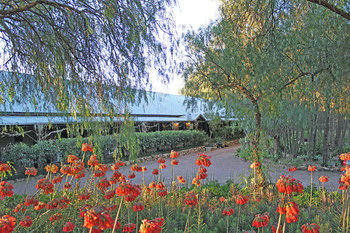 Casuarina Estate - eAccommodation 49