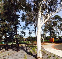 Box Hill Studios at Canterbury Gardens - eAccommodation