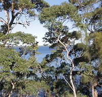 The Edgewater Bed amp Breakfast - eAccommodation