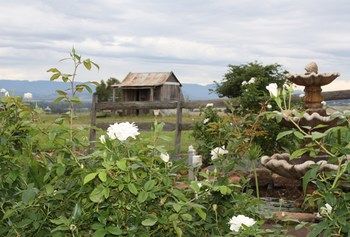 Strathearn Park Lodge - eAccommodation 16
