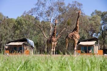 Zoofari Lodge, Taronga Western Plains Zoo - eAccommodation 13