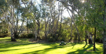 Tooleybuc Motel - eAccommodation 5