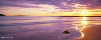 Kims Beachside Lodges - eAccommodation 22