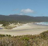 Cloudy Bay Cabin - eAccommodation