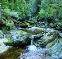 Tarkine Wilderness Experience at Corinna - eAccommodation