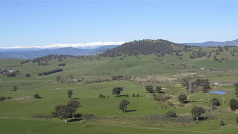 Rancho Relaxo - eAccommodation 0