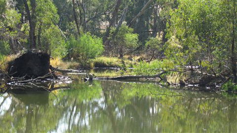 River Gardens Bed And Breakfast Farmstay - eAccommodation 2