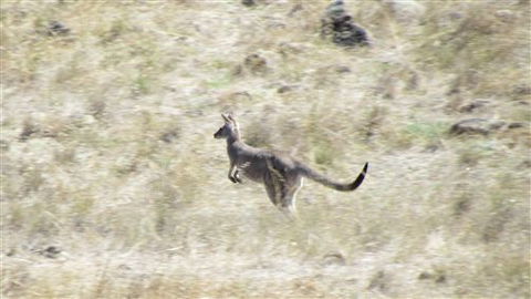 River Gardens Bed And Breakfast Farmstay - eAccommodation 7