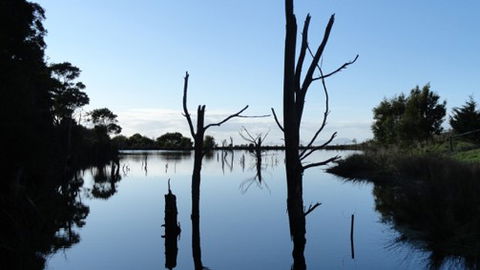 A Fare With Nature @ Prom Road Farm - eAccommodation 6