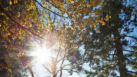 Typo Station - eAccommodation 2