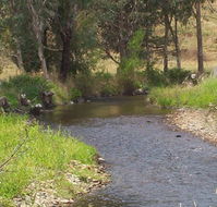 Murphy's Cabin - eAccommodation