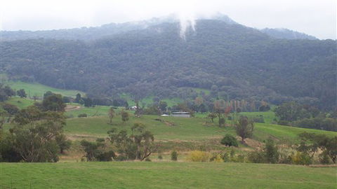 Murphy's Cabin - eAccommodation 1