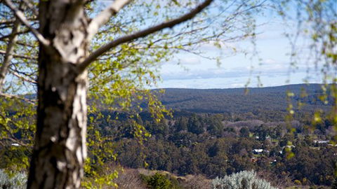 Hilltop Cottage - Daylesford - eAccommodation 5
