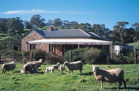 Amanda Stichbury Cottage - eAccommodation 0