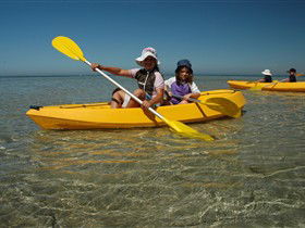 Ceduna Shelly Beach Caravan Park And Beachfront Villas - eAccommodation 3