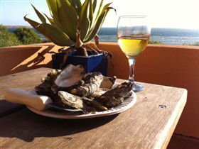 Ceduna Shelly Beach Caravan Park And Beachfront Villas - eAccommodation 4