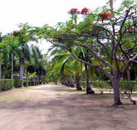 Alva Beach Tourist Park - eAccommodation