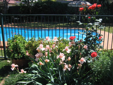 Country Apartments - eAccommodation 4