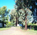 Cudal Caravan Park