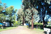Cudal Caravan Park - eAccommodation 0