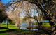 Daylesford Lake Villas - thumb 4